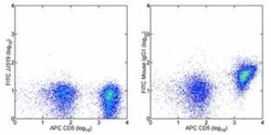 CD28 Antibody (JJ319) - BSA Free, Novus Biologicals 0.5mg; Unlabeled:Antibodies,